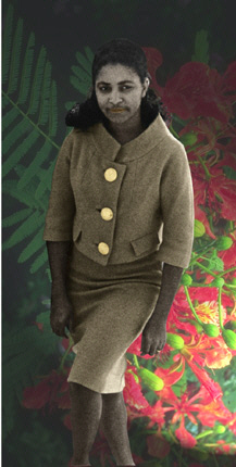 Joyce Holly